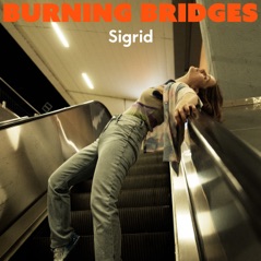 Burning Bridges - Single
