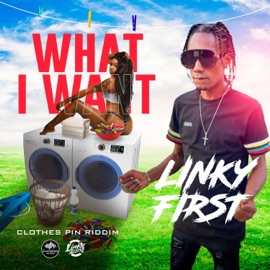What I Want (feat. Linky First) Synthdicate Music