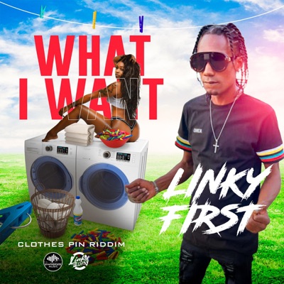 What I Want (feat. Linky First) - Single