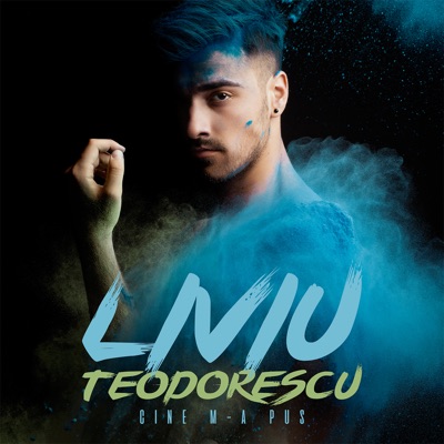 Song - Cine m-a pus - Liviu Teodorescu