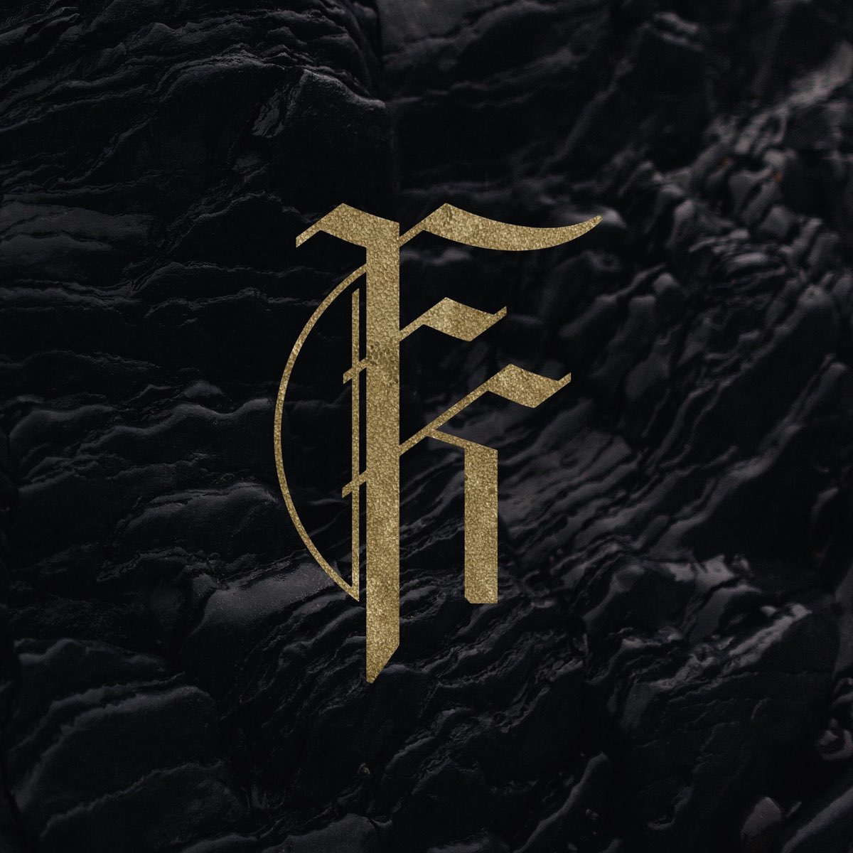 The Price of Agony Fit for a King. Fit for a King the Path 2020 обложка. Fit for a King logo. Fit for a King album.