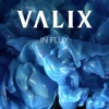 In Flux - Single