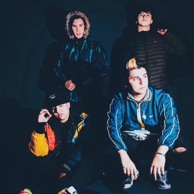 Ice Remix (feat. Shelbyboy, Fr33boi, Gaby Roket & Pirv) [Remix] - Single