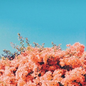 Forgive and Forget - Single