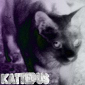 Kattepus artwork