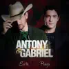Antony Gabriel - Tcc (Truco Cerveja e Churrasco)