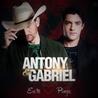 Eu Te Amo Pinga - Antony Gabriel