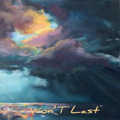 Won't Last - Single