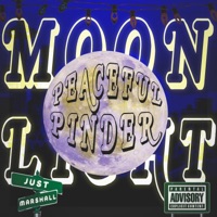 Moonlight (feat. Just Marshall) - Single - PeacefulPinder