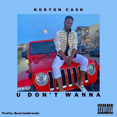 U Don't Wanna - Single