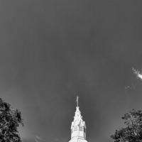 Solo Guitars - Single - Onetriponeabeat