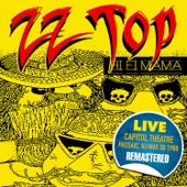 ZZ Top - I'm Bad I'm Nationwide (Remastered)