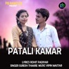 Patali Kamar - Single