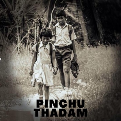 Pinchu Thadam (feat. Thamasvini) - Single