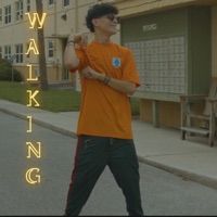 Walking - Single - Skyrey