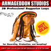 20 Professional Reggaeton Loops for Recording, Production, And Sampling! - Armageddon Studios
