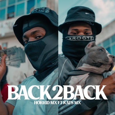 Back2Back (feat. Horrid Mx & Kats) - Single