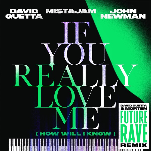 If You Really Love Me (How Will I Know) [David Guetta & MORTEN Future Rave Remix] - Single