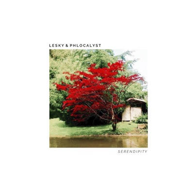 Serendipity (feat. Lesky)
