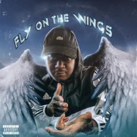 Fly On the Wings - Single - Sleepy da Hitman