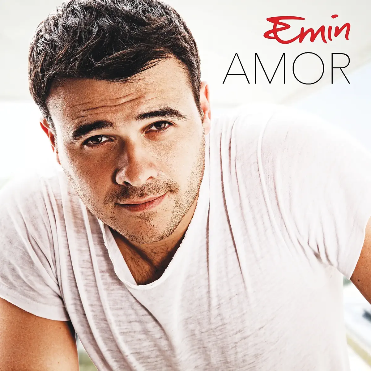 EMIN - Amor (2014) [iTunes Plus AAC M4A]-新房子