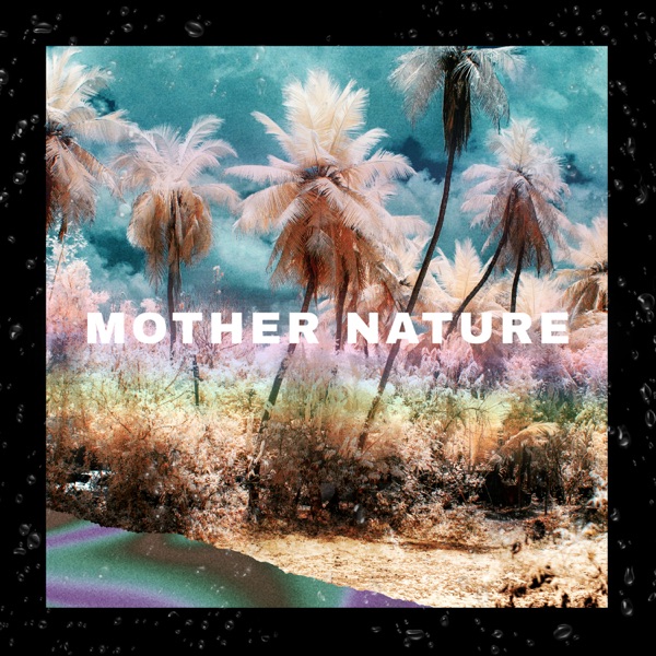 Mother Nature Tropical Forest - Single