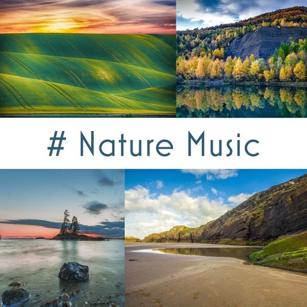 # Nature Music: 50 Tracks of Relaxing Nature Ambient, Meditation, Sleep & Wellness