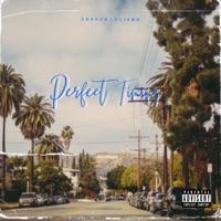 Perfect Timing - Single - Shakur Luciano