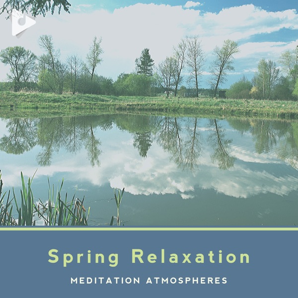 Spring Relaxation