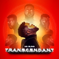Transcendant - Ng Bling