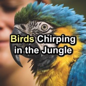 Birds Chirping in the Jungle artwork