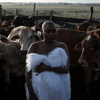 Zo&euml; Modiga - INGANEKWANE artwork