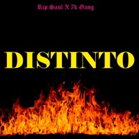 DISTINTO - Single - Rip Saul