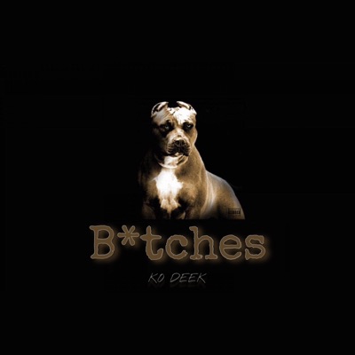 Bitches - Single