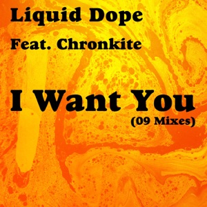 I Want You (Broken Mix Inst) [feat. Chronkite]