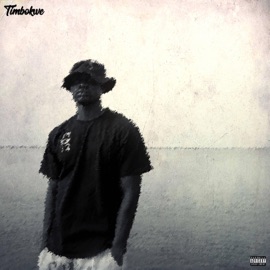 Would you (feat. Cozy Ctrl) Timbokwe