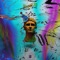 Festejo (feat. Big Soto) - David Rone lyrics