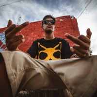 Brillando Por Mi Cuenta - Edivan