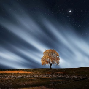 Moments of Chill  Meditation and Serenity