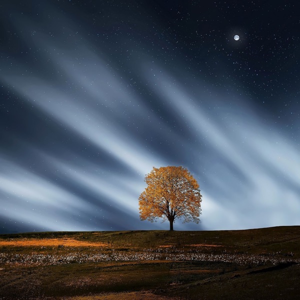 Moments of Chill  Meditation and Serenity