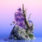 Wheels (feat. SUZANNE & THAMA) - GLOWCEAN lyrics
