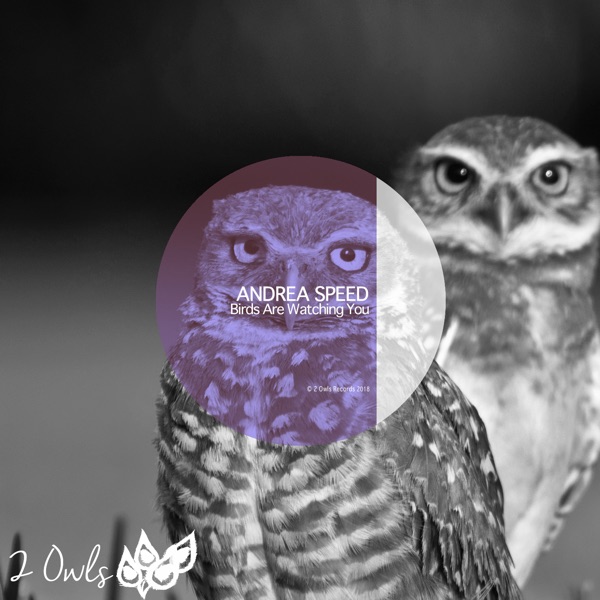 Birds Are Watching You - EP