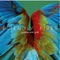 Hawaiian Air - Single