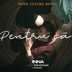 Pentru Ca (feat. The Motans) [Nema Cutura Remix] - Single - Inna