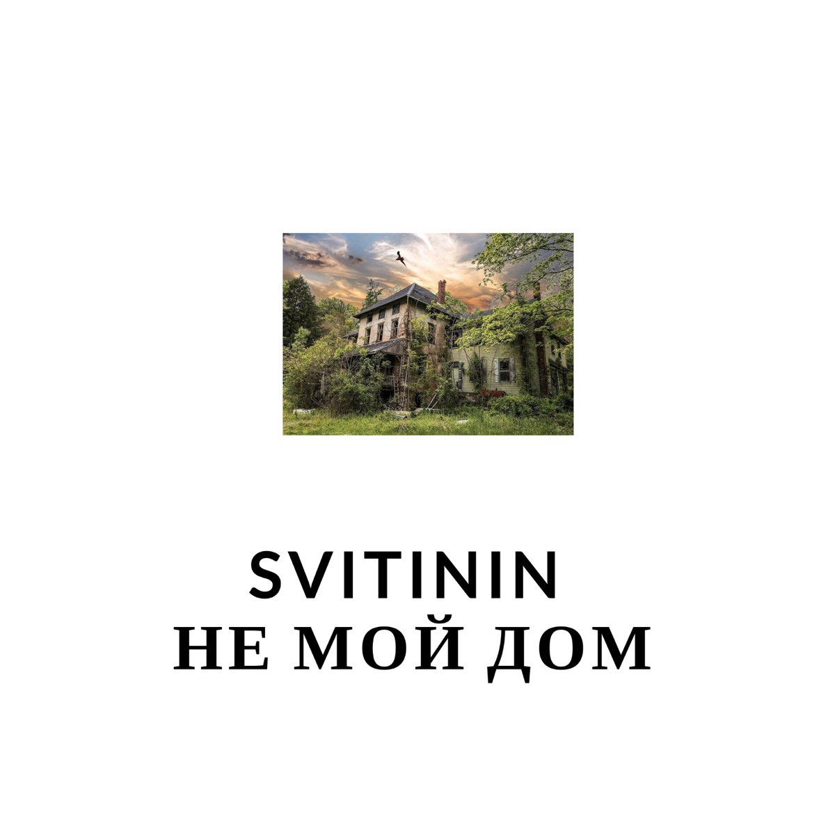 Не мой дом - EP - Album by SVITININ - Apple Music