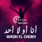 أنا أو لا أحد (DJ Mitch Remix) - Wadih El Cheikh