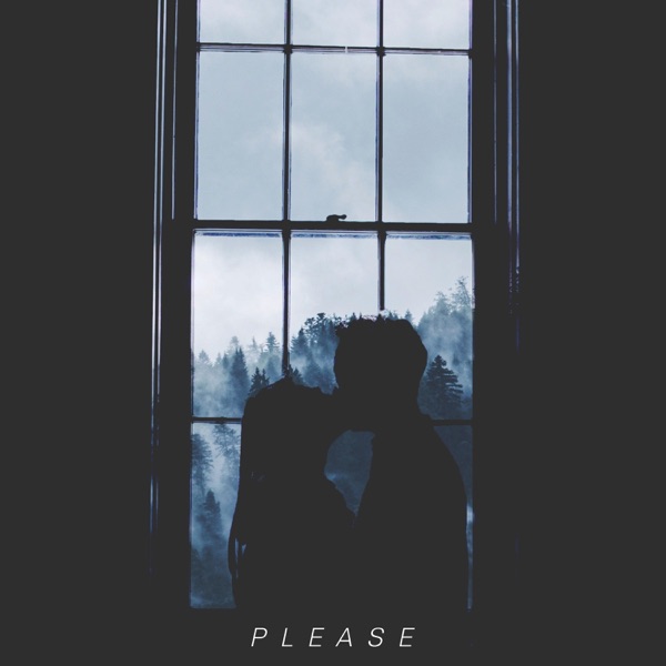 Please (feat. Jeric & Lestine)