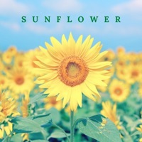 Sunflower - Single - E-Swerve