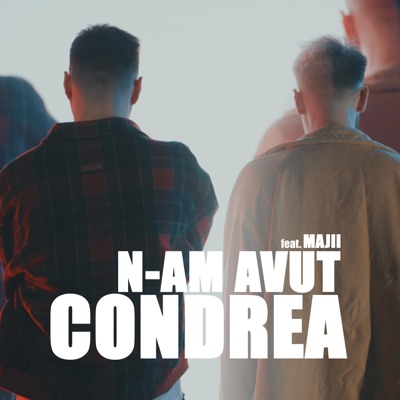 N-am avut (feat. Majii) - Single