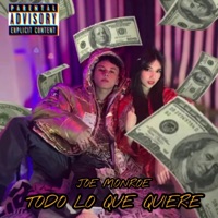 Todo lo que quiere - Single - Joe Monroe